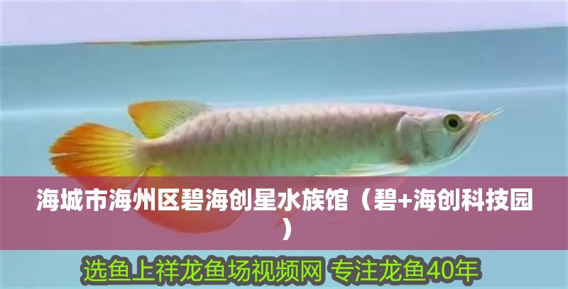 海城市海州區(qū)碧海創(chuàng)星水族館（碧+海創(chuàng)科技園）