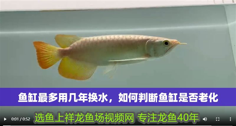 魚缸最多用幾年換水，如何判斷魚缸是否老化 魚缸最多用幾年換水，如何判斷魚缸是否老化 魚缸百科 第2張