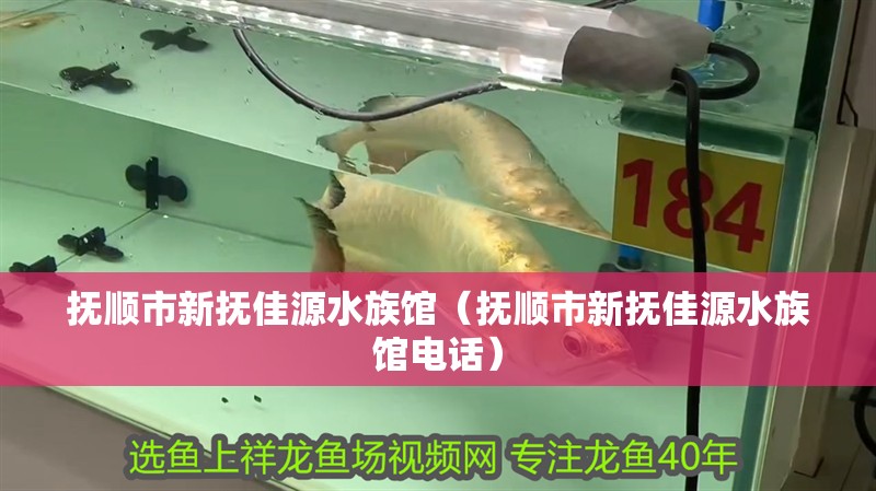 撫順市新撫佳源水族館（撫順市新撫佳源水族館電話）