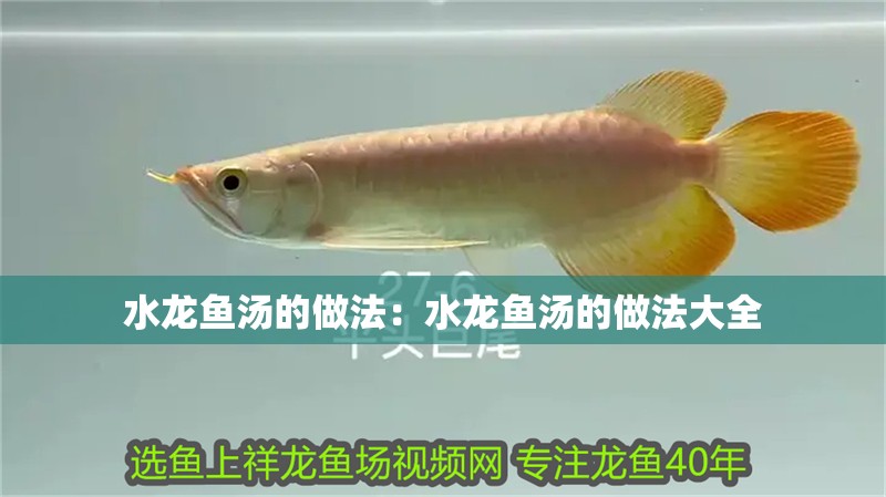 水龍魚湯的做法：水龍魚湯的做法大全 水龍魚湯的做法：水龍魚湯的做法大全 水族問答