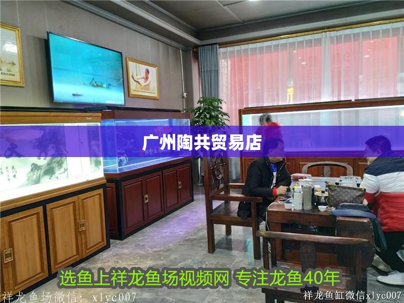 廣州陶共貿(mào)易店 全國(guó)水族館企業(yè)名錄 第1張 廣州陶共貿(mào)易店 廣州陶共貿(mào)易店 全國(guó)水族館企業(yè)名錄 第1張