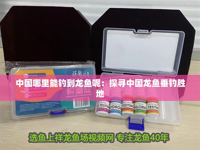 中國哪里能釣到龍魚呢：探尋中國龍魚垂釣勝地