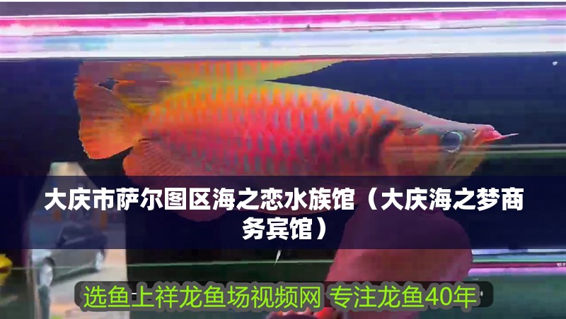 大慶市薩爾圖區(qū)海之戀水族館（大慶海之夢商務(wù)賓館）