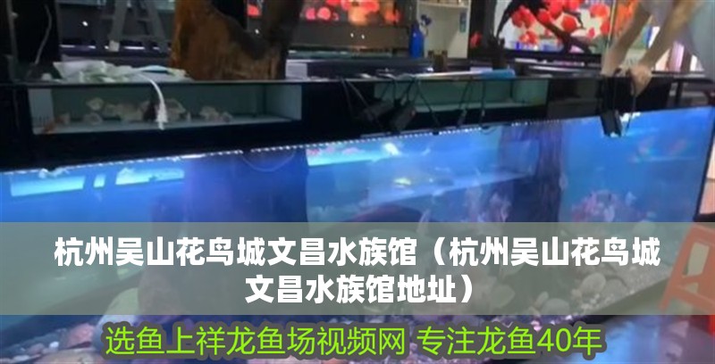 杭州吳山花鳥(niǎo)城文昌水族館（杭州吳山花鳥(niǎo)城文昌水族館地址）