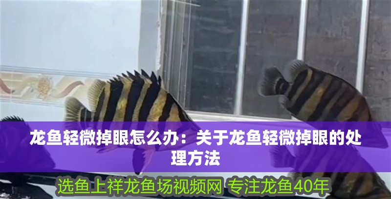 龍魚輕微掉眼怎么辦：關于龍魚輕微掉眼的處理方法