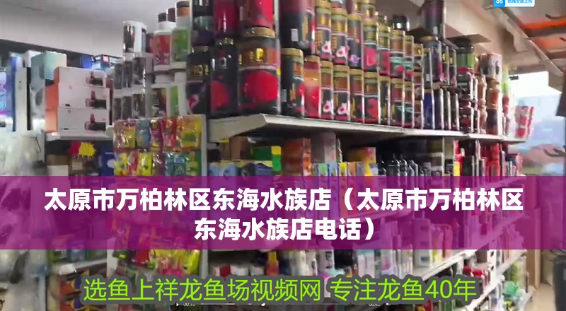 太原市萬柏林區東海水族店（太原市萬柏林區東海水族店電話）