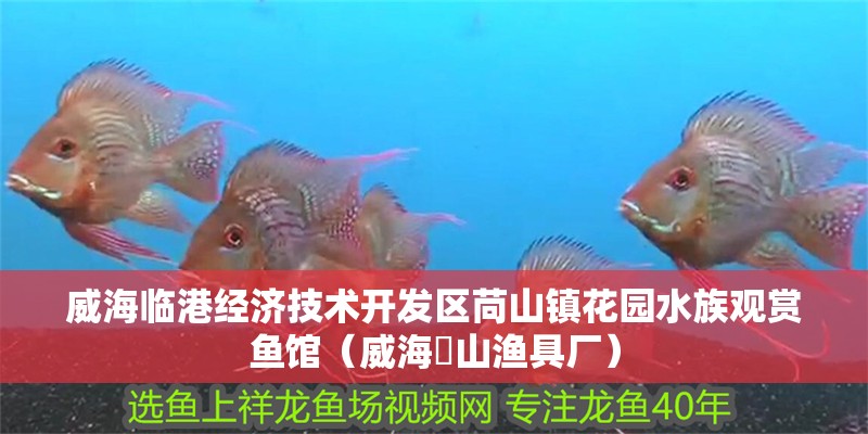 威海臨港經(jīng)濟(jì)技術(shù)開(kāi)發(fā)區(qū)苘山鎮(zhèn)花園水族觀賞魚(yú)館（威海蔄山漁具廠）