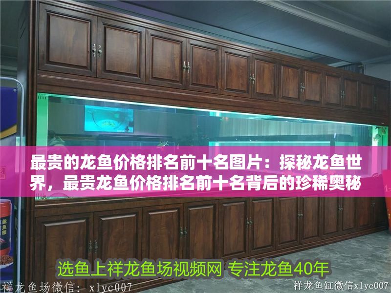 最貴的龍魚價(jià)格排名前十名圖片：探秘龍魚世界，最貴龍魚價(jià)格排名前十名背后的珍稀奧秘