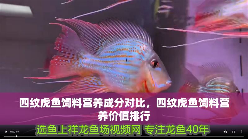 四紋虎魚飼料營養成分對比，四紋虎魚飼料營養價值排行