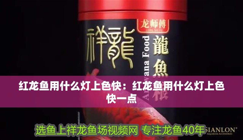 紅龍魚用什么燈上色快:紅龍魚用什么燈上色快一點 水族問答 紅龍魚用什么燈上色快:紅龍魚用什么燈上色快一點 紅龍魚用什么燈上色快:紅龍魚用什么燈上色快一點 水族問答