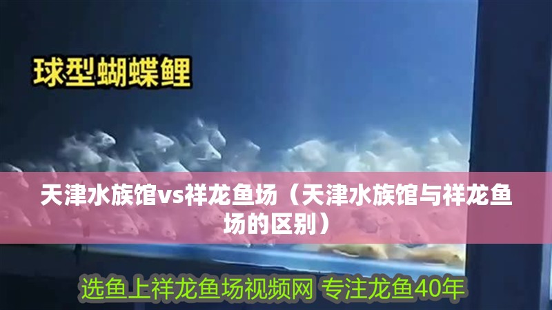 天津水族館vs祥龍魚場(chǎng)（天津水族館與祥龍魚場(chǎng)的區(qū)別）