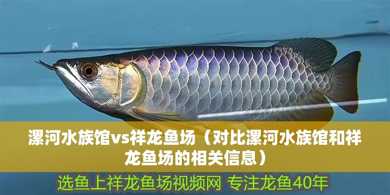 漯河水族館vs祥龍魚場（對比漯河水族館和祥龍魚場的相關信息）