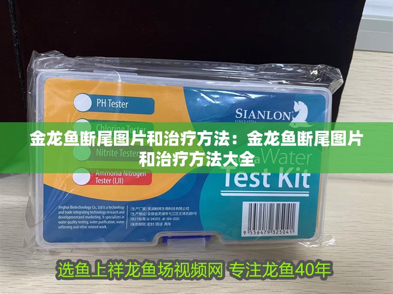 金龍魚斷尾圖片和治療方法：金龍魚斷尾圖片和治療方法大全