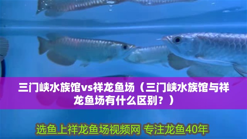 三門(mén)峽水族館vs祥龍魚(yú)場(chǎng)（三門(mén)峽水族館與祥龍魚(yú)場(chǎng)有什么區(qū)別？）