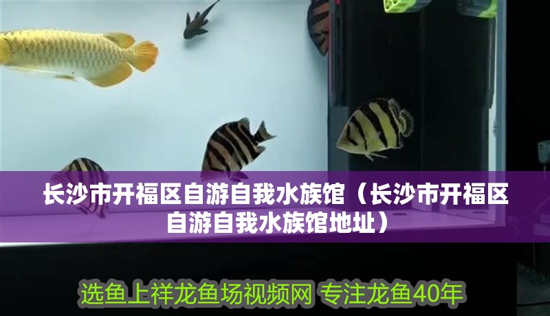長沙市開福區自游自我水族館（長沙市開福區自游自我水族館地址） 長沙市開福區自游自我水族館（長沙市開福區自游自我水族館地址） 全國水族館企業名錄 第1張