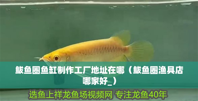 鲅魚圈魚缸制作工廠地址在哪（鲅魚圈漁具店哪家好_） 鲅魚圈魚缸制作工廠地址在哪（鲅魚圈漁具店哪家好_） 全國水族館企業名錄 第1張