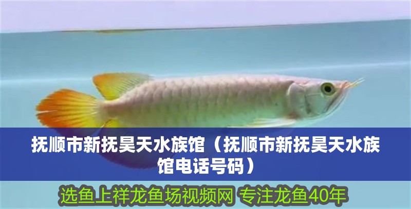 撫順市新?lián)彡惶焖屦^（撫順市新?lián)彡惶焖屦^電話號碼）