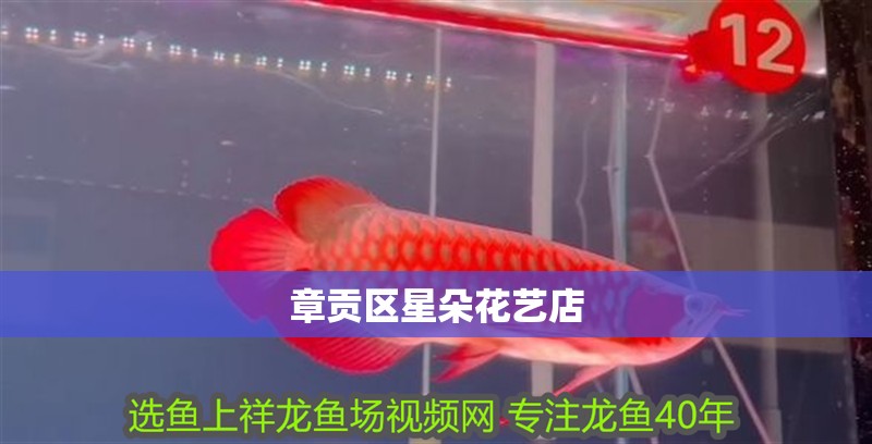章貢區星朵花藝店