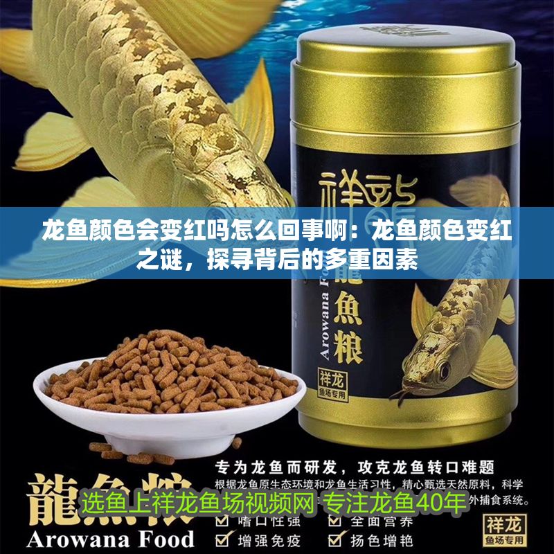 龍魚顏色會變紅嗎怎么回事啊：龍魚顏色變紅之謎，探尋背后的多重因素