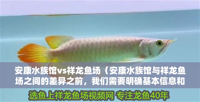 安康水族館vs祥龍魚場(chǎng)（安康水族館與祥龍魚場(chǎng)之間的差異之前，我們需要明確基本信息和特點(diǎn)）