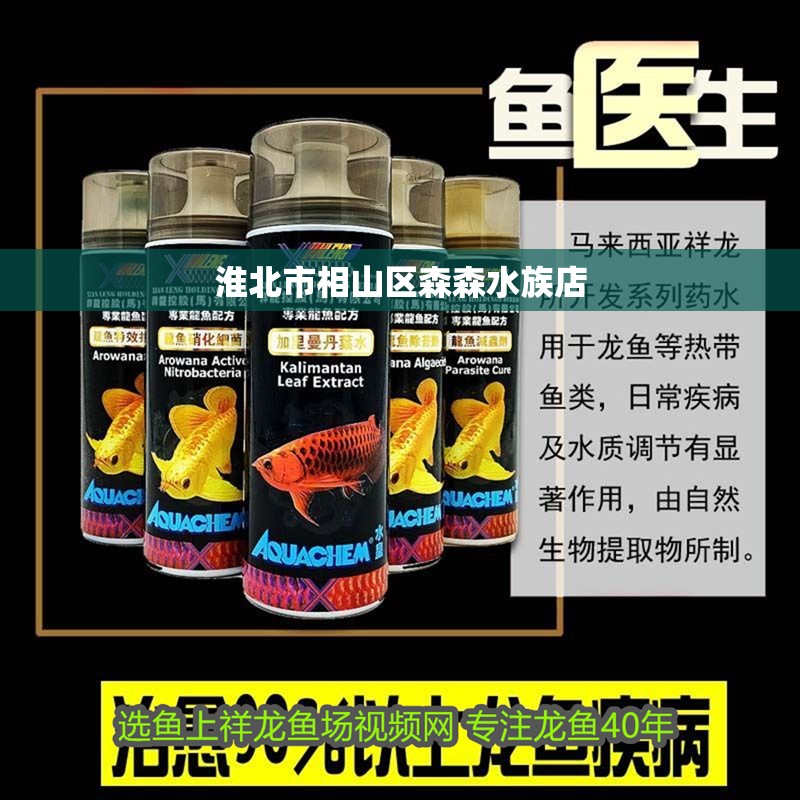 淮北市相山區(qū)森森水族店