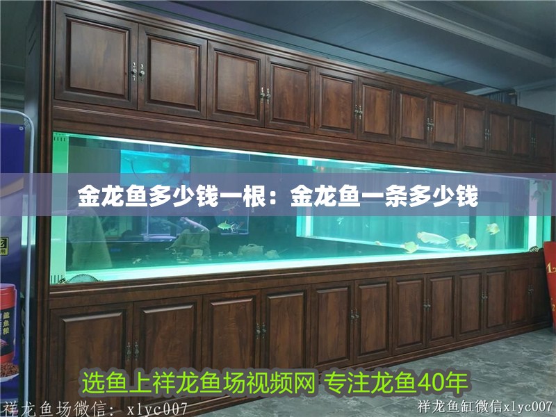 金龍魚多少錢一根：金龍魚一條多少錢