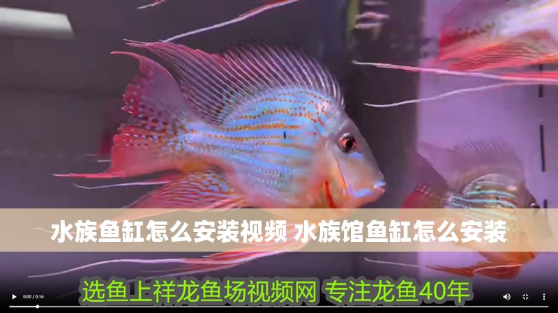 水族魚缸怎么安裝視頻 水族館魚缸怎么安裝