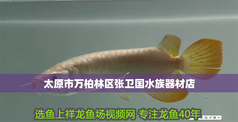 太原市萬柏林區張衛國水族器材店