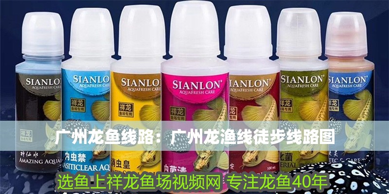 廣州龍魚線路:廣州龍漁線徒步線路圖 水族問答 廣州龍魚線路:廣州龍漁線徒步線路圖 廣州龍魚線路:廣州龍漁線徒步線路圖 水族問答