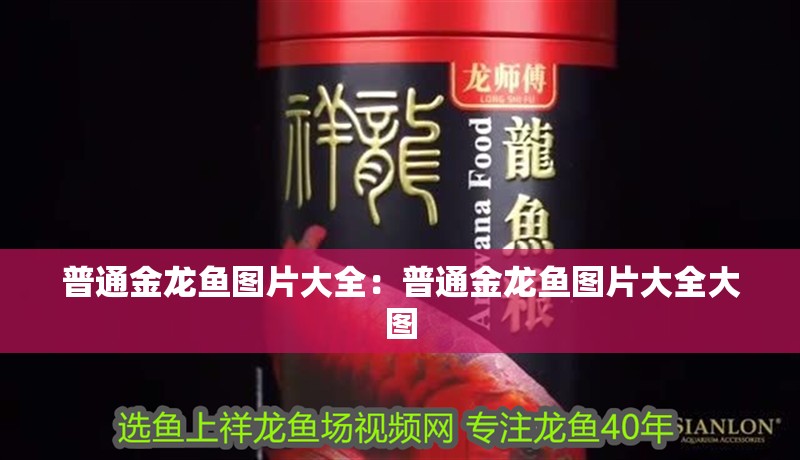 普通金龍魚圖片大全:普通金龍魚圖片大全大圖 水族問答 普通金龍魚圖片大全:普通金龍魚圖片大全大圖 普通金龍魚圖片大全:普通金龍魚圖片大全大圖 水族問答