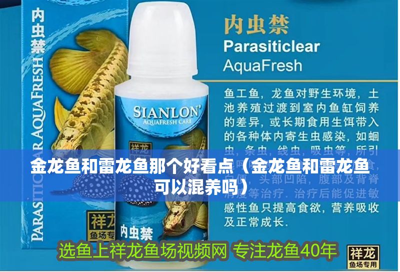金龍魚和雷龍魚那個好看點（金龍魚和雷龍魚可以混養嗎）