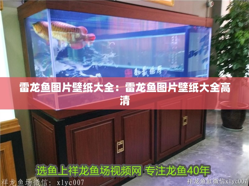 雷龍魚圖片壁紙大全：雷龍魚圖片壁紙大全高清