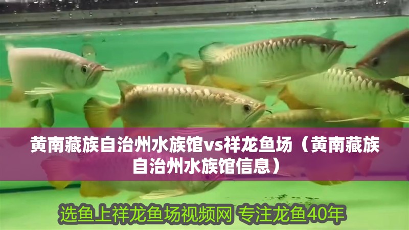 黃南藏族自治州水族館vs祥龍魚場（黃南藏族自治州水族館信息）