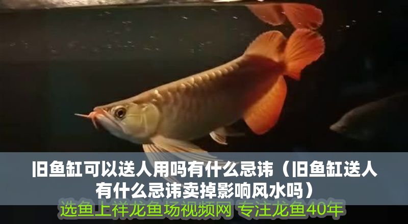 舊魚缸可以送人用嗎有什么忌諱（舊魚缸送人有什么忌諱賣掉影響風(fēng)水嗎）