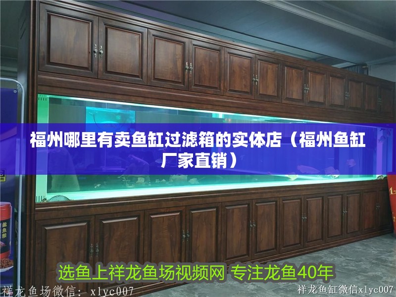 福州哪里有賣魚缸過濾箱的實體店（福州魚缸廠家直銷） 福州哪里有賣魚缸過濾箱的實體店（福州魚缸廠家直銷） 全國水族館企業名錄 第1張