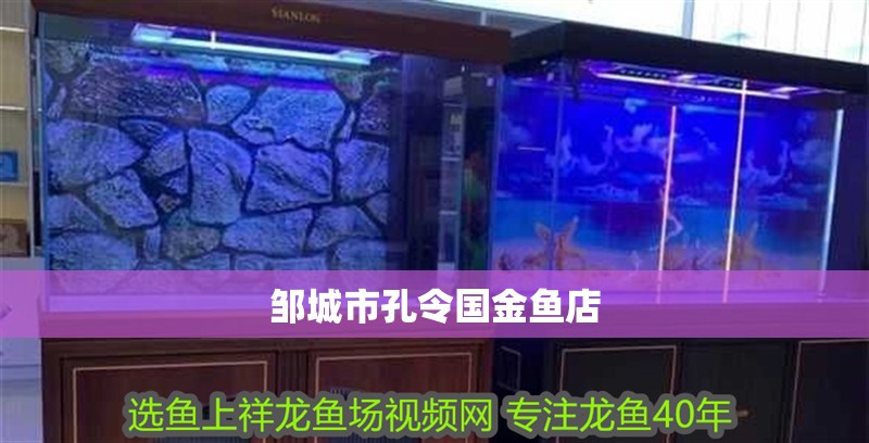 鄒城市孔令國金魚店