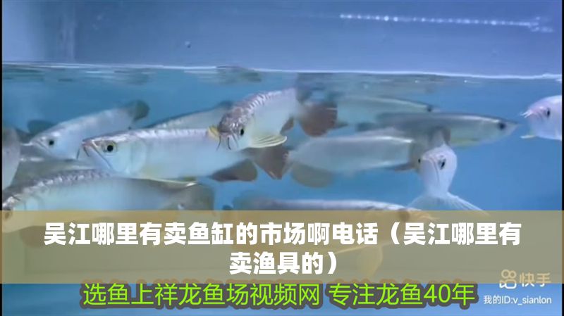 吳江哪里有賣魚缸的市場啊電話（吳江哪里有賣漁具的）