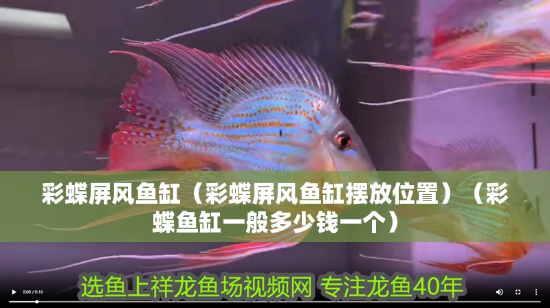 彩蝶屏風魚缸（彩蝶屏風魚缸擺放位置）（彩蝶魚缸一般多少錢一個） 彩蝶屏風魚缸（彩蝶屏風魚缸擺放位置）（彩蝶魚缸一般多少錢一個） 魚缸百科