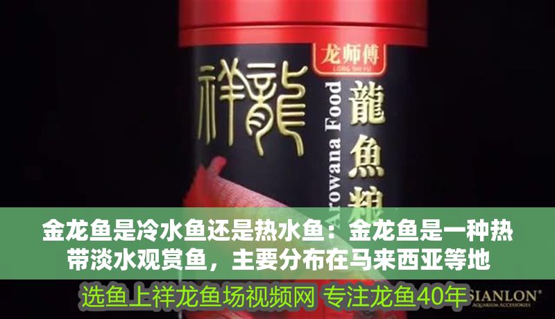 金龍魚是冷水魚還是熱水魚：金龍魚是一種熱帶淡水觀賞魚，主要分布在馬來西亞等地