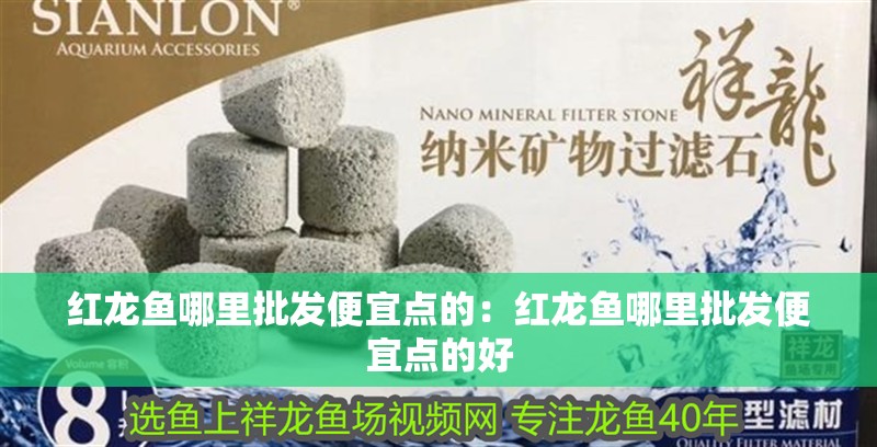 紅龍魚哪里批發便宜點的：紅龍魚哪里批發便宜點的好 紅龍魚哪里批發便宜點的：紅龍魚哪里批發便宜點的好 水族問答