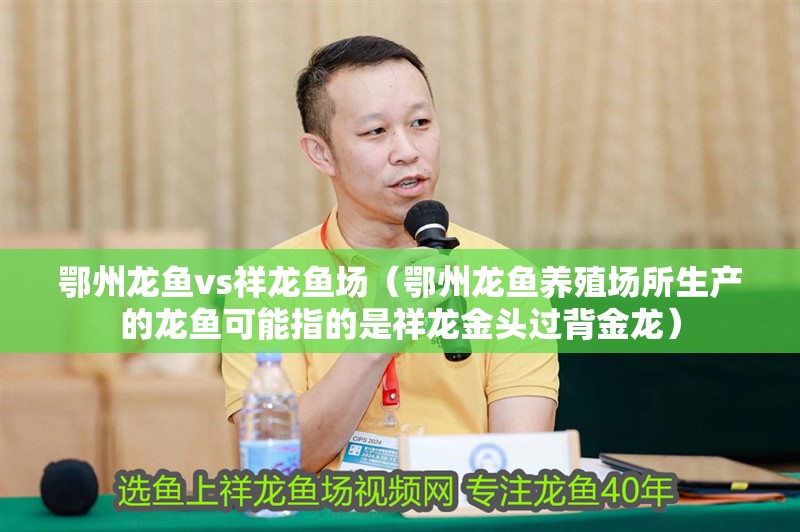 鄂州龍魚vs祥龍魚場（鄂州龍魚養(yǎng)殖場所生產(chǎn)的龍魚可能指的是祥龍金頭過背金龍） 鄂州龍魚vs祥龍魚場（鄂州龍魚養(yǎng)殖場所生產(chǎn)的龍魚可能指的是祥龍金頭過背金龍） 全國水族館企業(yè)名錄 第1張