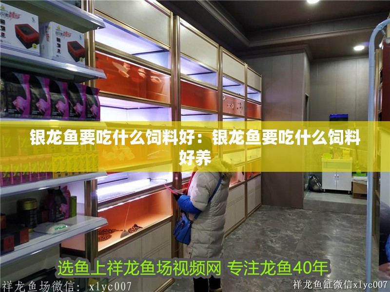 銀龍魚要吃什么飼料好：銀龍魚要吃什么飼料好養