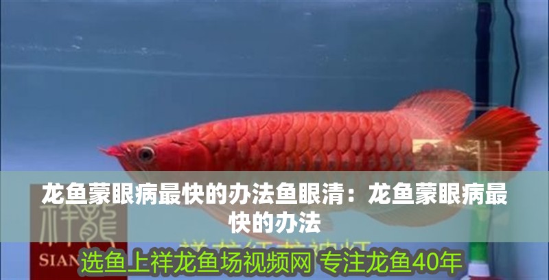 龍魚蒙眼病最快的辦法魚眼清：龍魚蒙眼病最快的辦法