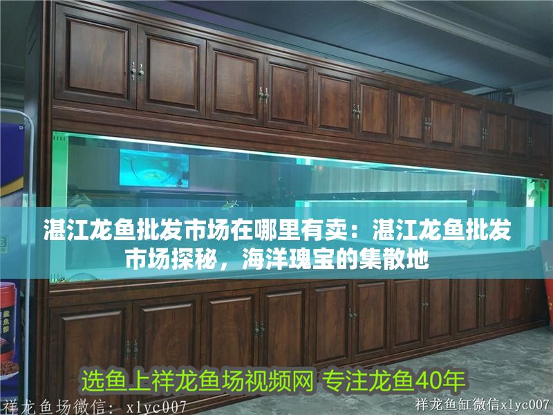 湛江龍魚批發市場在哪里有賣：湛江龍魚批發市場探秘，海洋瑰寶的集散地