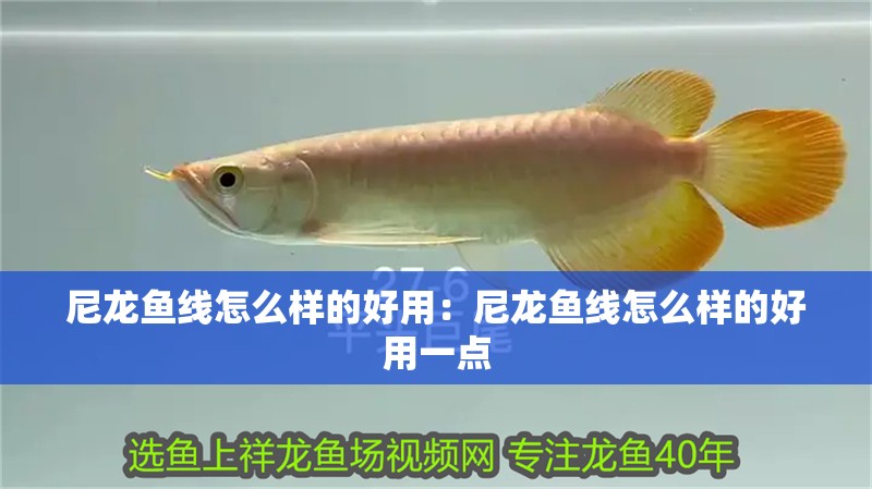 尼龍魚線怎么樣的好用：尼龍魚線怎么樣的好用一點(diǎn)