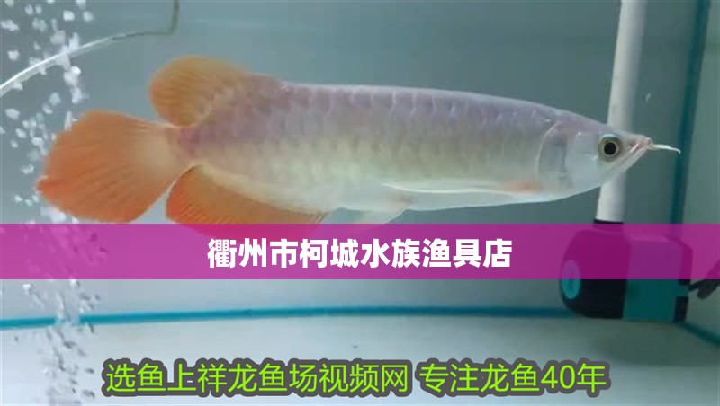 衢州市柯城水族漁具店