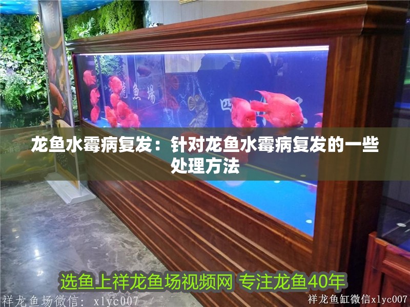 龍魚水霉病復發:針對龍魚水霉病復發的一些處理方法 龍魚百科 第2張 龍魚水霉病復發:針對龍魚水霉病復發的一些處理方法 龍魚水霉病復發:針對龍魚水霉病復發的一些處理方法 龍魚百科 第2張