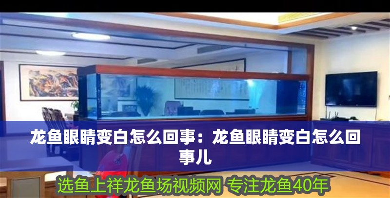 龍魚眼睛變白怎么回事：龍魚眼睛變白怎么回事兒 龍魚眼睛變白怎么回事：龍魚眼睛變白怎么回事兒 水族問答