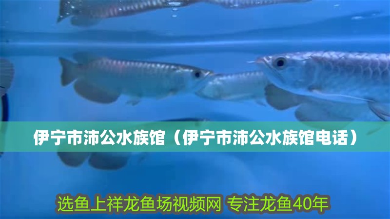 伊寧市沛公水族館(伊寧市沛公水族館電話) 全國水族館企業(yè)名錄 第1張 伊寧市沛公水族館(伊寧市沛公水族館電話) 伊寧市沛公水族館(伊寧市沛公水族館電話) 全國水族館企業(yè)名錄 第1張