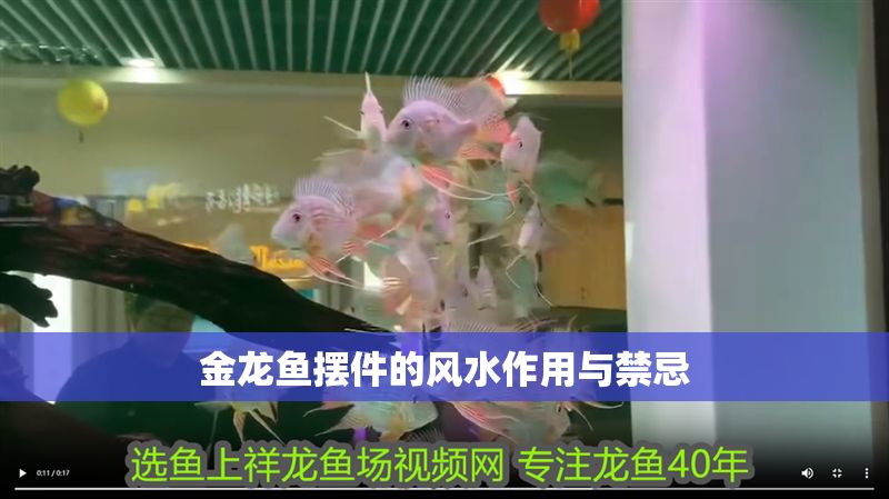 金龍魚擺件的風水作用與禁忌 金龍魚擺件的風水作用與禁忌 龍魚百科 第2張